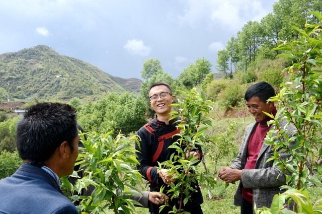 李凱與三河村民一起在冬桃園里一起勞動。 (1).jpg