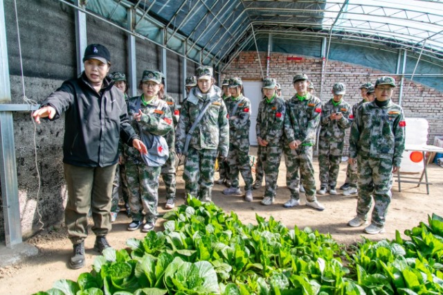 師生在第六埠村蔬菜大棚，了解蔬菜種植過程和常見病蟲害防治等知識。.jpg